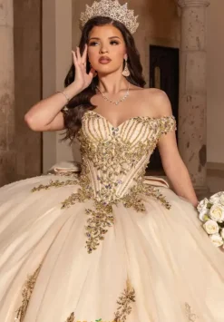 Sweet Sixteen|Plus Sized Quince Dresses^Rachel Allan Quince RQ2247