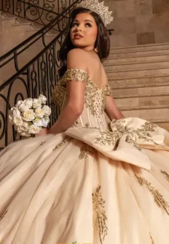 Sweet Sixteen|Plus Sized Quince Dresses^Rachel Allan Quince RQ2247