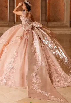 Sweet Sixteen|Plus Sized Quince Dresses^Rachel Allan Quince RQ2244