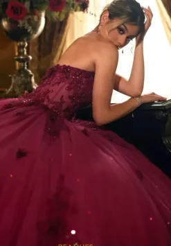 Sweet Sixteen|Plus Sized Quince Dresses^Rachel Allan Quince RQ1163