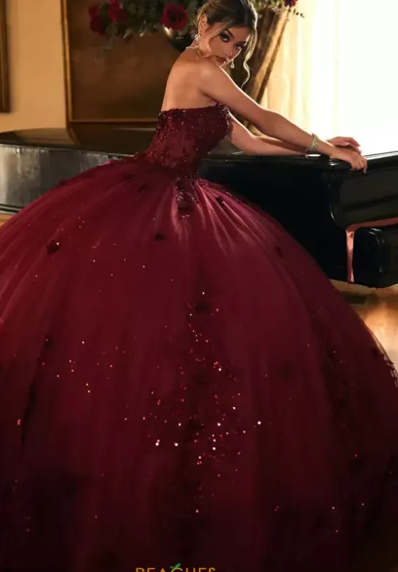 Sweet Sixteen|Plus Sized Quince Dresses^Rachel Allan Quince RQ1163