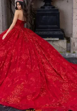 Sweet Sixteen|Plus Sized Quince Dresses^Rachel Allan Quince RQ1172