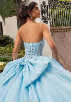 Sweet Sixteen|Plus Sized Quince Dresses^Rachel Allan Quince RQ1168