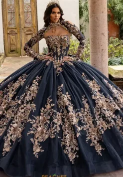 Sweet Sixteen|Plus Sized Quince Dresses^Rachel Allan Quince RQ1168