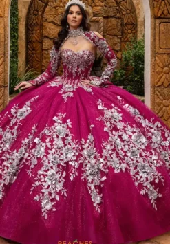 Sweet Sixteen|Plus Sized Quince Dresses^Rachel Allan Quince RQ1168