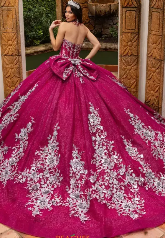 Sweet Sixteen|Plus Sized Quince Dresses^Rachel Allan Quince RQ1168