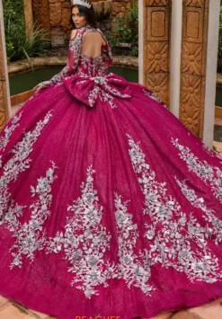 Sweet Sixteen|Plus Sized Quince Dresses^Rachel Allan Quince RQ1168