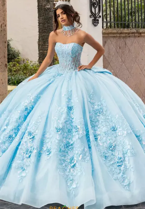 Sweet Sixteen|Plus Sized Quince Dresses^Rachel Allan Quince RQ1168