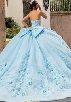 Sweet Sixteen|Plus Sized Quince Dresses^Rachel Allan Quince RQ1168