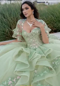 Sweet Sixteen|Plus Sized Quince Dresses^Rachel Allan Quince RQ1138