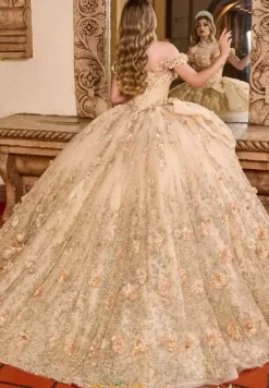 Sweet Sixteen|Plus Sized Quince Dresses^Rachel Allan Quince RQ1141