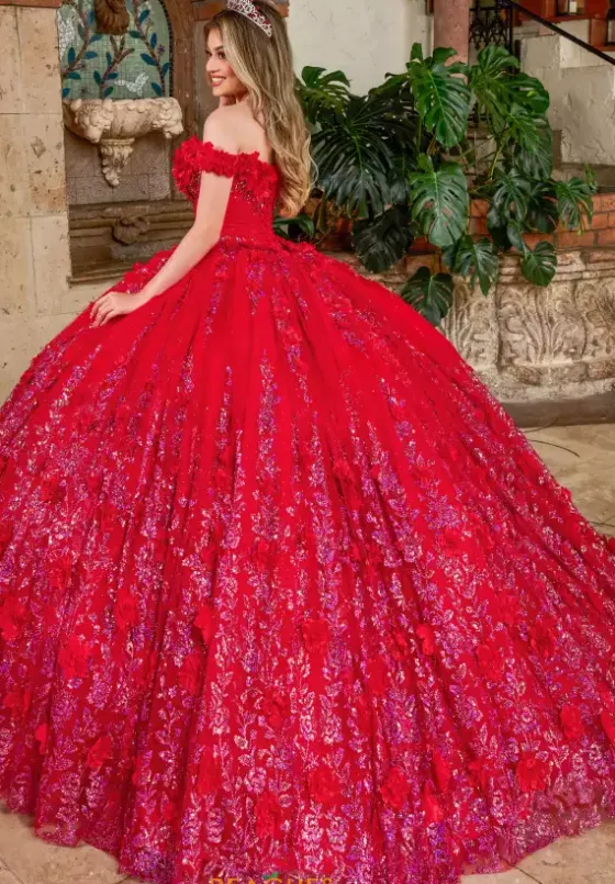 Sweet Sixteen|Plus Sized Quince Dresses^Rachel Allan Quince RQ1141