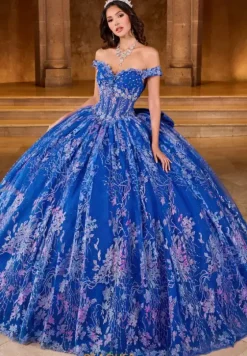 Sweet Sixteen|Plus Sized Quince Dresses^Rachel Allan Quince RQ1146