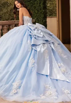 Plus Sized Quince Dresses|Sweet Sixteen^Rachel Allan Quince RQ3156