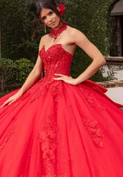 Plus Sized Quince Dresses|Sweet Sixteen^Rachel Allan Quince RQ3156