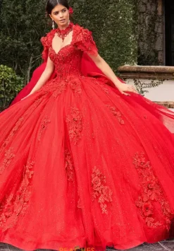 Plus Sized Quince Dresses|Sweet Sixteen^Rachel Allan Quince RQ3156