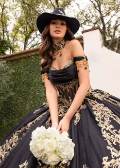 Sweet Sixteen|Plus Sized Quince Dresses^Rachel Allan Quince RQ2230