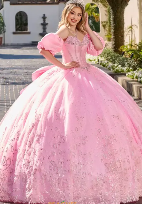 Sweet Sixteen|Plus Sized Quince Dresses^Rachel Allan Quince RQ1142
