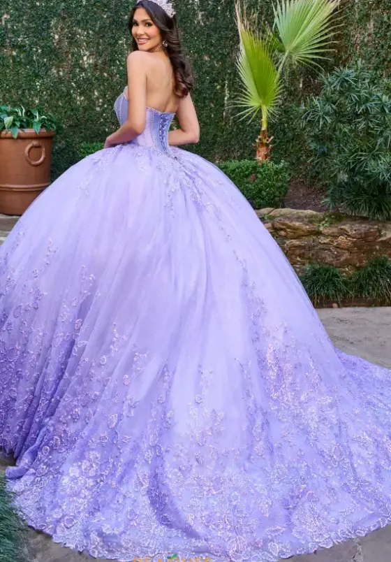 Sweet Sixteen|Plus Sized Quince Dresses^Rachel Allan Quince RQ1142