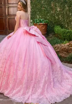 Sweet Sixteen|Plus Sized Quince Dresses^Rachel Allan Quince RQ1142