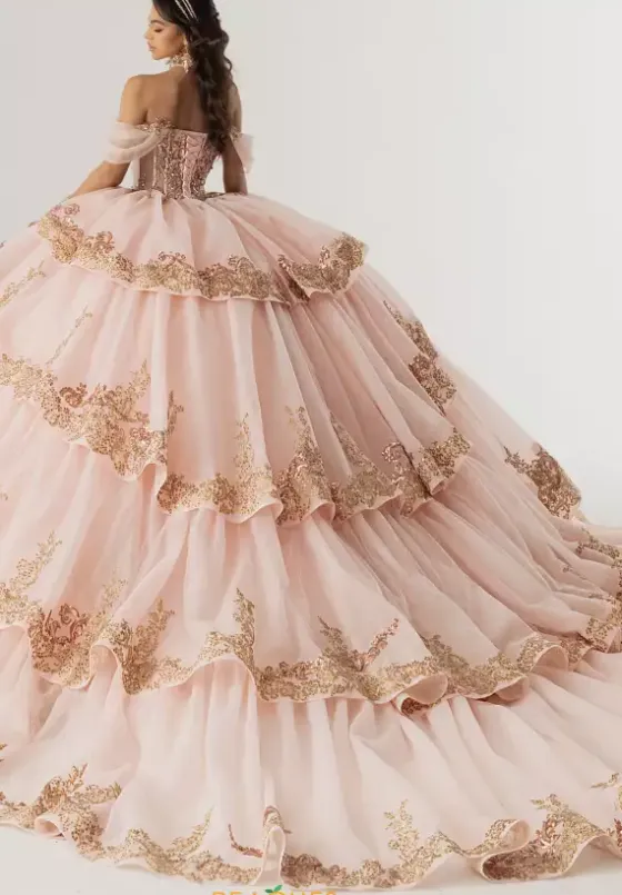 Sweet Sixteen|Plus Sized Quince Dresses^Rachel Allan Quince RQ3175