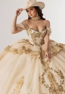 Sweet Sixteen|Plus Sized Quince Dresses^Rachel Allan Quince RQ3175