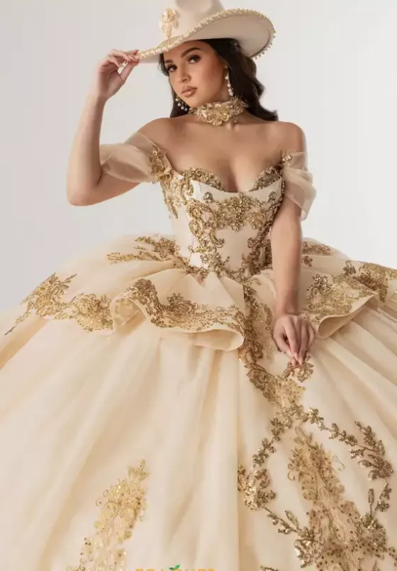 Sweet Sixteen|Plus Sized Quince Dresses^Rachel Allan Quince RQ3175
