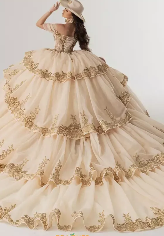 Sweet Sixteen|Plus Sized Quince Dresses^Rachel Allan Quince RQ3175
