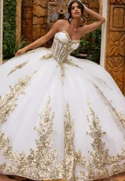 Sweet Sixteen|Plus Sized Quince Dresses^Rachel Allan Quince RQ2225