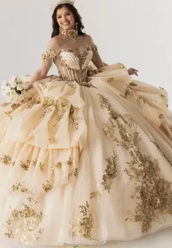 Sweet Sixteen|Plus Sized Quince Dresses^Rachel Allan Quince RQ6014