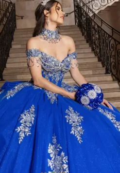 Sweet Sixteen|Plus Sized Quince Dresses^Rachel Allan Quince RQ1183