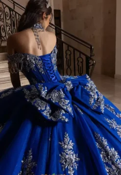 Sweet Sixteen|Plus Sized Quince Dresses^Rachel Allan Quince RQ1183