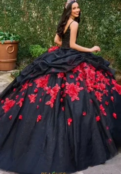 Plus Sized Quince Dresses|Sweet Sixteen^Rachel Allan Quince RQ1144