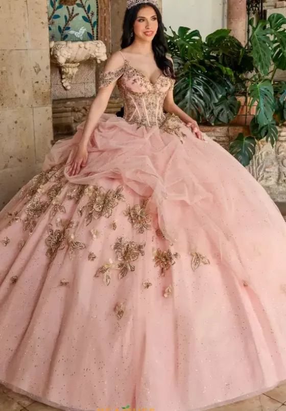Plus Sized Quince Dresses|Sweet Sixteen^Rachel Allan Quince RQ1144