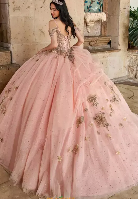 Plus Sized Quince Dresses|Sweet Sixteen^Rachel Allan Quince RQ1144