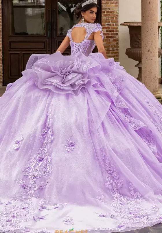 Plus Sized Quince Dresses|Sweet Sixteen^Rachel Allan Quince RQ3163