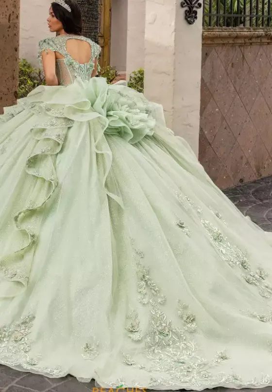 Plus Sized Quince Dresses|Sweet Sixteen^Rachel Allan Quince RQ3163