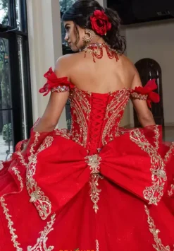 Sweet Sixteen|Plus Sized Quince Dresses^Rachel Allan Quince RQ1180