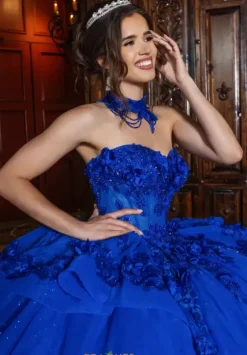 Plus Sized Quince Dresses|Sweet Sixteen^Rachel Allan Quince RQ2241