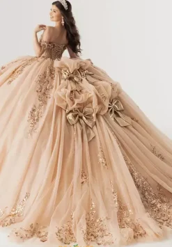 Sweet Sixteen|Plus Sized Quince Dresses^Rachel Allan Quince RQ3178