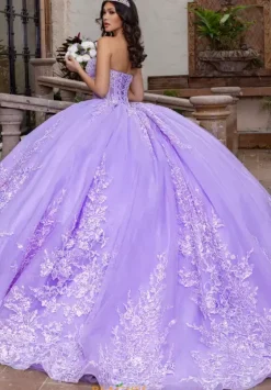 Sweet Sixteen|Plus Sized Quince Dresses^Rachel Allan Quince RQ1169