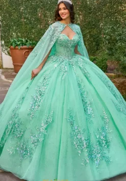 Sweet Sixteen|Plus Sized Quince Dresses^Rachel Allan Quince RQ1148