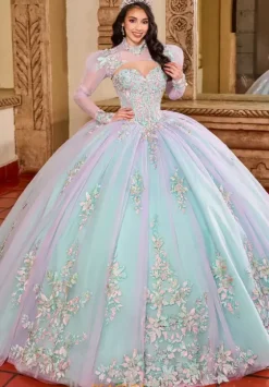 Quince Dresses With Sleeves|Plus Sized Quince Dresses^Rachel Allan Quince RQ2200