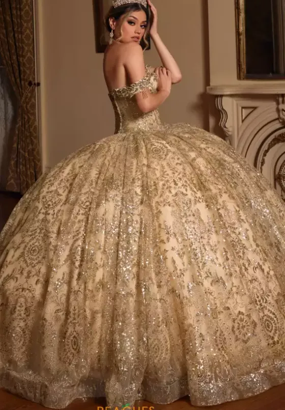 Plus Sized Quince Dresses|Sweet Sixteen^Rachel Allan Quince RQ2212