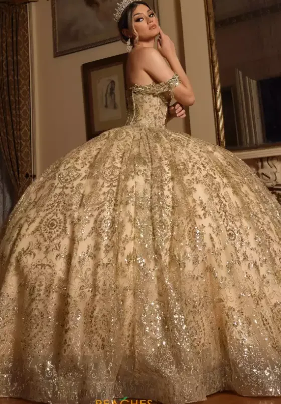 Plus Sized Quince Dresses|Sweet Sixteen^Rachel Allan Quince RQ2212