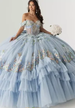 Plus Sized Quince Dresses|Sweet Sixteen^Rachel Allan Quince RQ6012
