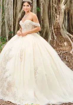 Sweet Sixteen|Plus Sized Quince Dresses^Tiffany Quinceanera 56493