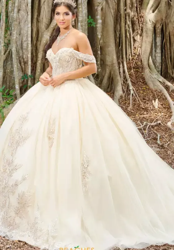 Sweet Sixteen|Plus Sized Quince Dresses^Tiffany Quinceanera 56493