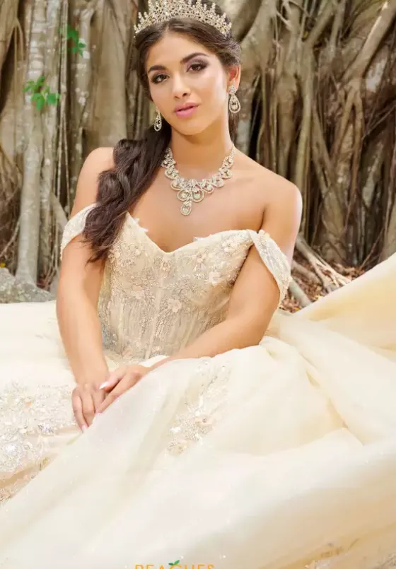 Sweet Sixteen|Plus Sized Quince Dresses^Tiffany Quinceanera 56493