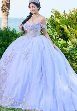 Sweet Sixteen|Plus Sized Quince Dresses^Tiffany Quinceanera 56493